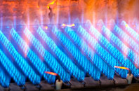 Freebirch gas fired boilers